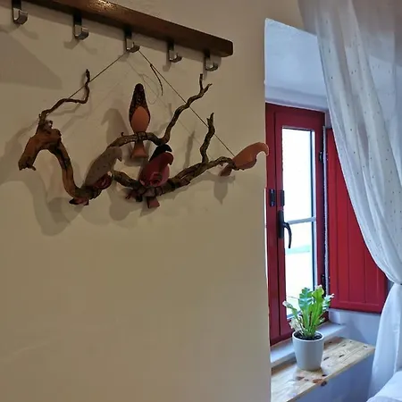 4Bs - Birds & Bicycles Apartamento Castro Verde Exterior foto