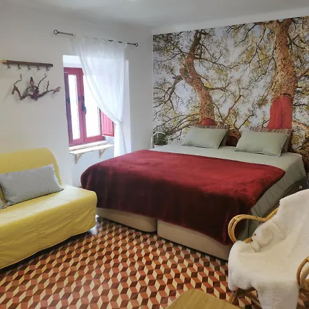 4Bs - Birds & Bicycles Apartamento Castro Verde Exterior foto