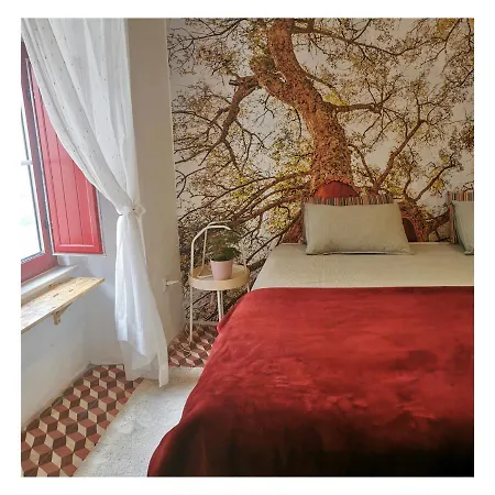 4Bs - Birds & Bicycles Apartamento Castro Verde Exterior foto