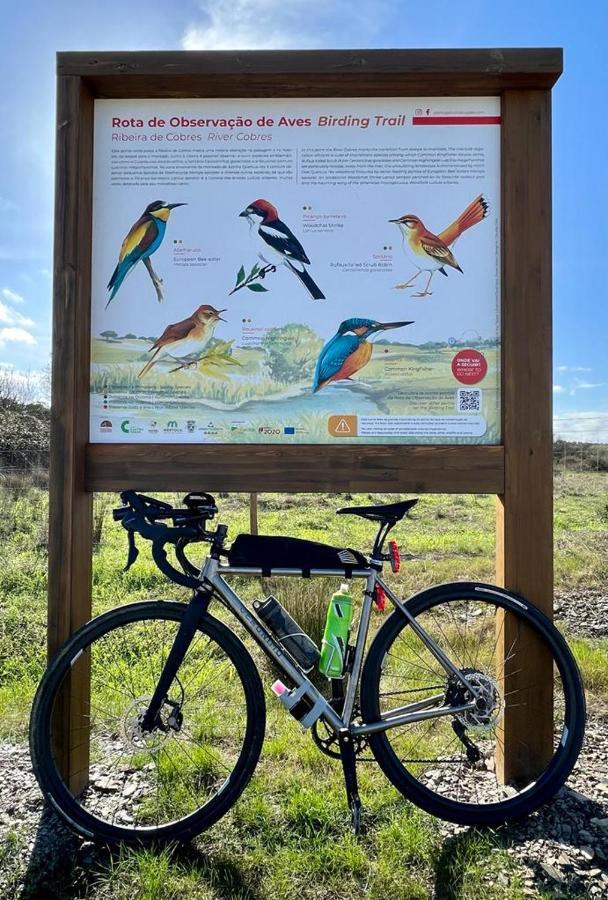 Apartment 4bs - Birds & Bicycles *